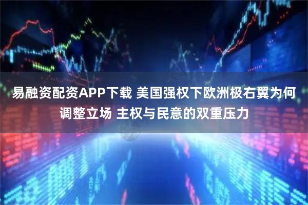 易融资配资APP下载 美国强权下欧洲极右翼为何调整立场 主权与民意的双重压力